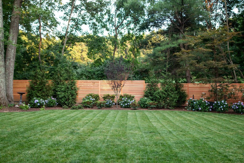 Mowed lawn with nice stripes