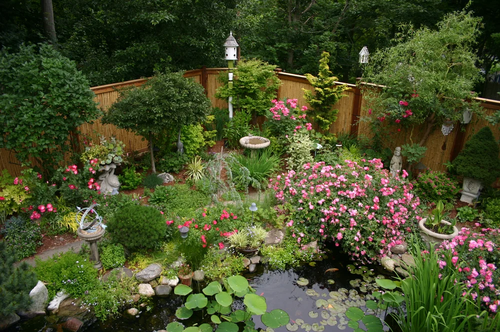 featured image